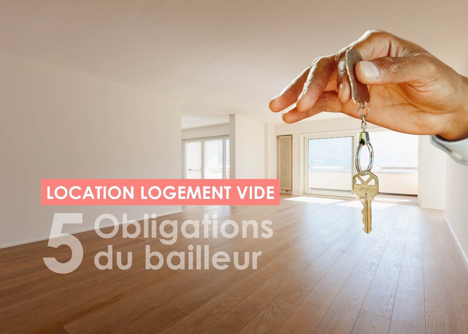 Location logement vide aux Antilles